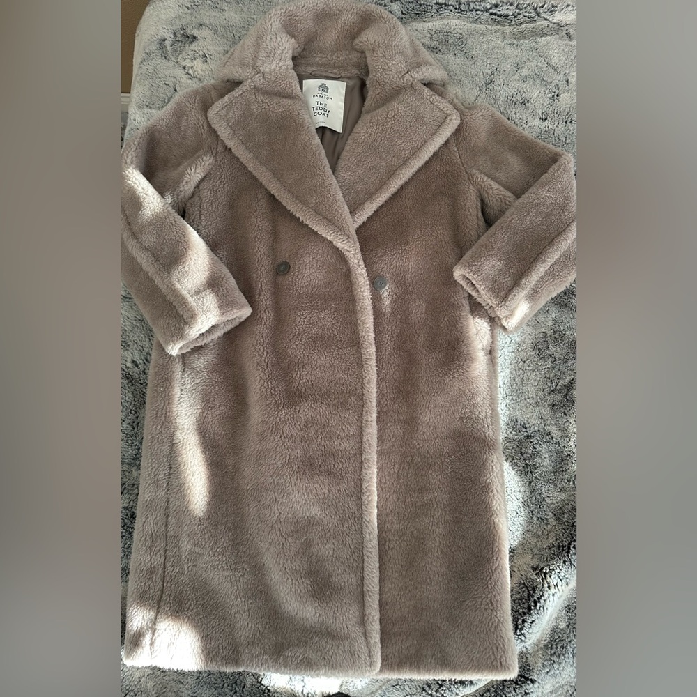 Babaton Teddy coat from Aritzia. Oversized fit.